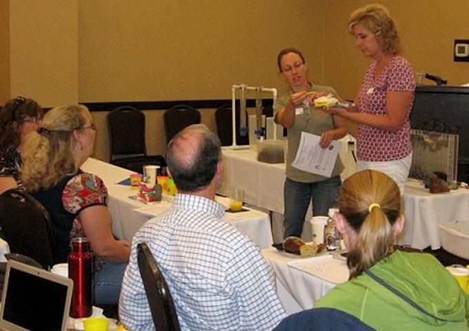 teachers participating in a workshop 